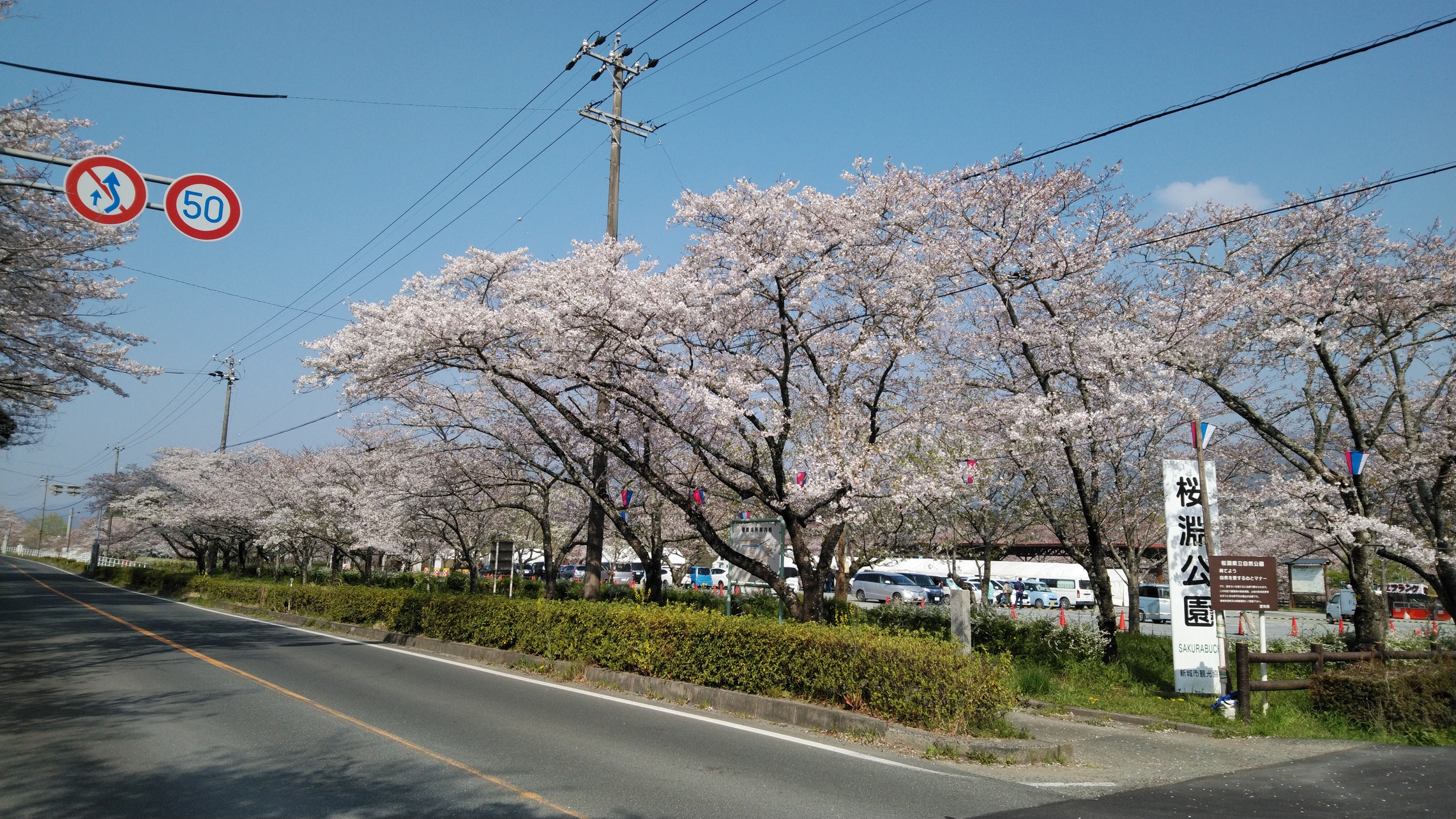 桜淵公園 現在の様子