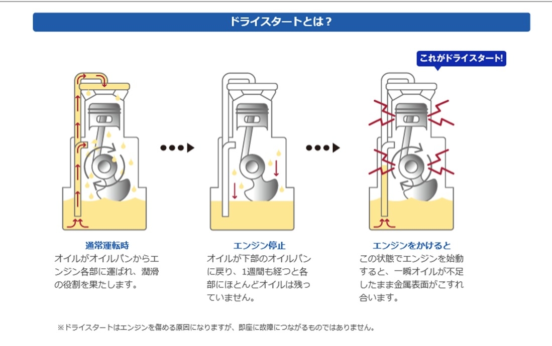 車の栄養剤 ｍｔ １０effi