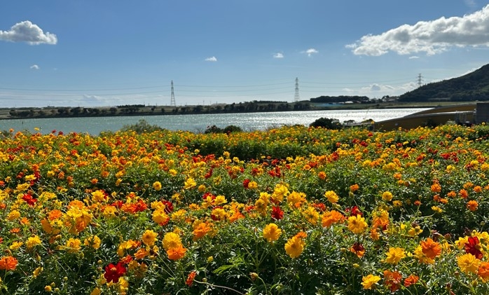 花と緑に囲まれた遊ぶ・食べることができる体験施設！ | 愛知トヨタ